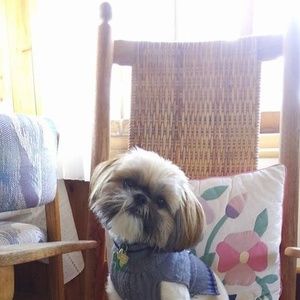 Meet your Posher, Edward